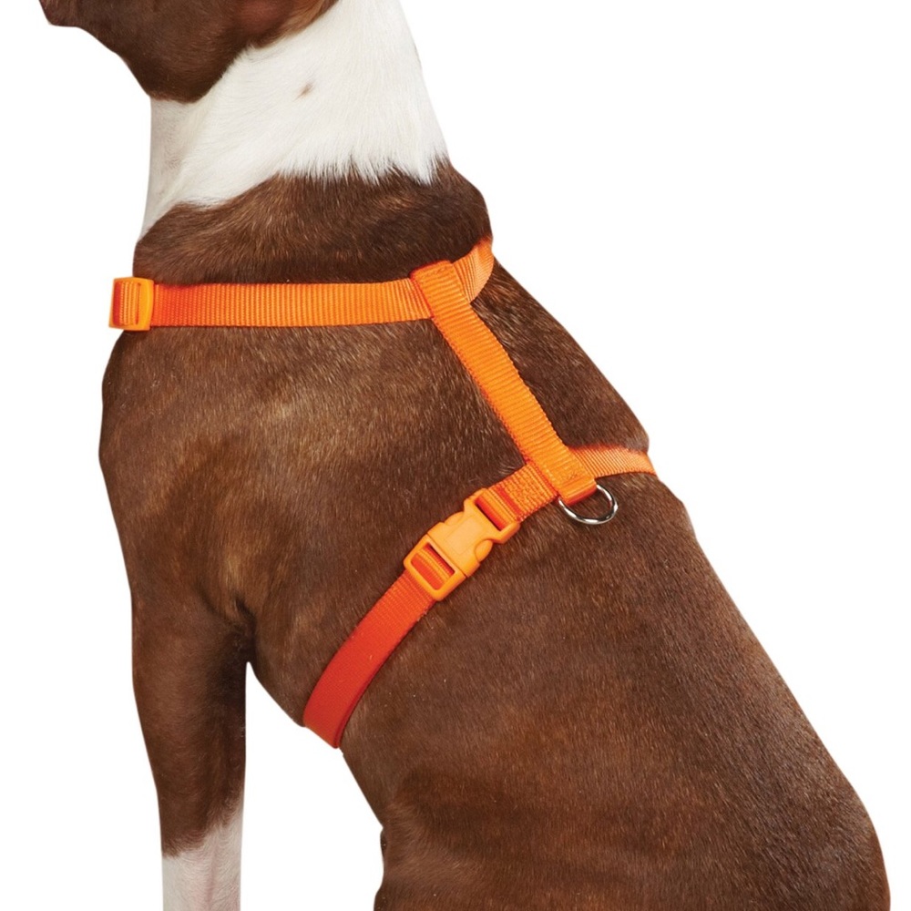 Zack & Zoey Nylon Pet Harness - Orange NWT